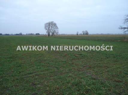 Działka rolna na sprzedaż, 20000 m2, Stanisławów
