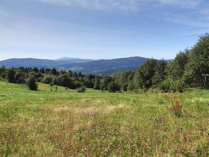 Działka budowlana na sprzedaż, 5800 m2, Pcim
