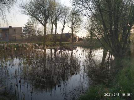 Dom z działką Radomsko atrakcyjna okolica tanio