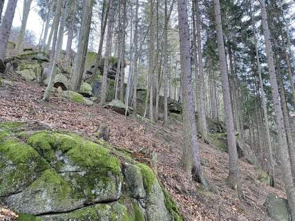 2,7ha widokowa przepieknie położona koło Karpacza
