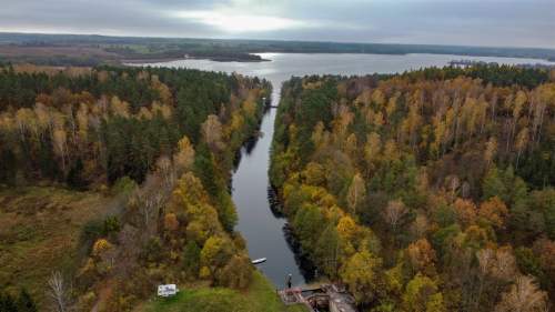 Działka siedliskowa granicząca z lasem państwowym