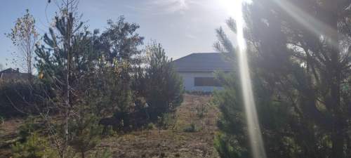 Borzęcin Duży działka pod zabudowę przy lesie.