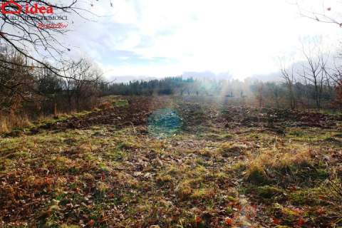 Działka na sprzedaż, 8400 m2, Witryłów