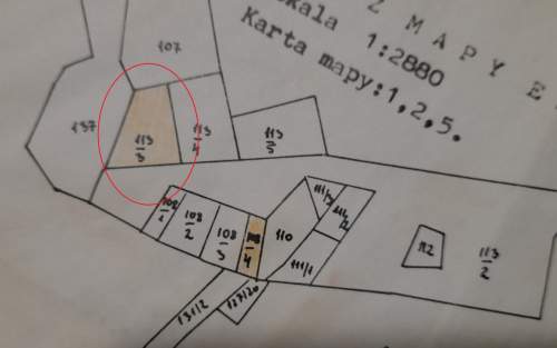 Sprzedam działkę leśną konkretne drzewa Głębokie