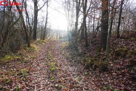 Działka na sprzedaż, 8400 m2, Witryłów