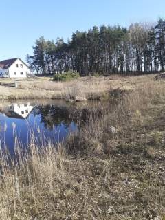 Działka z WZ- Czersk Świecki gm. Jeżewo.