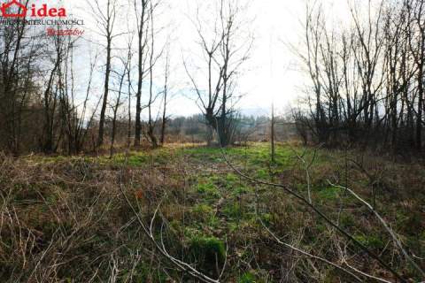 Działka na sprzedaż, 8400 m2, Witryłów