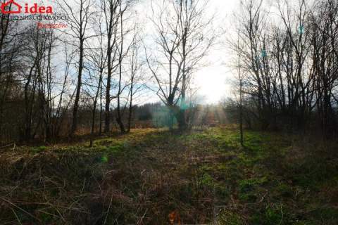 Działka na sprzedaż, 8400 m2, Witryłów