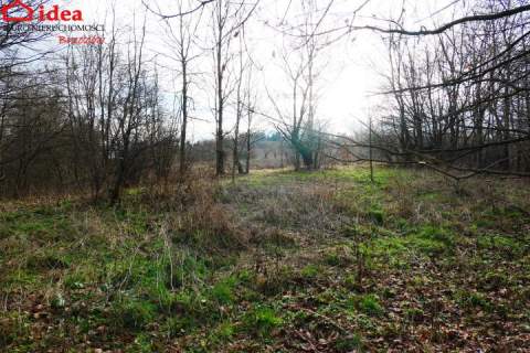 Działka na sprzedaż, 8400 m2, Witryłów
