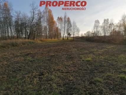 Działka, pow. 4500 m2, Jaworznia Gniewce,Piekoszów