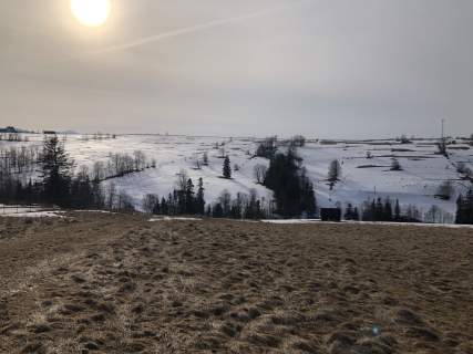Działka rolna z widokiem na Tatry Zakopane 1000m2