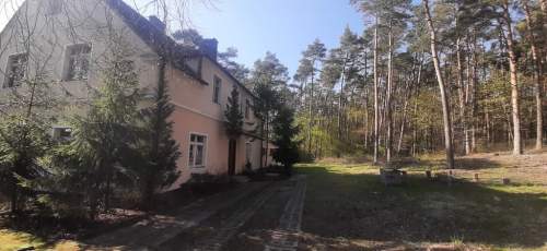 Bartoszewo Dom - lokal na dużej działce