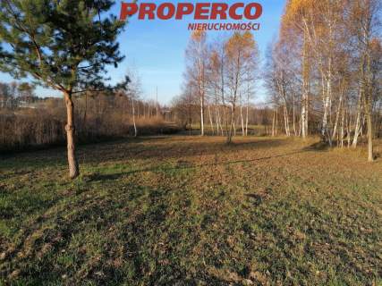 Działka, pow. 4500 m2, Jaworznia Gniewce,Piekoszów