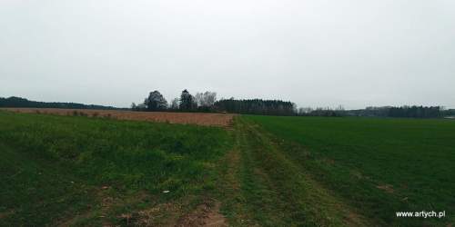 Działka rekreacyjna na sprzedaż, 1300 m2, Teofilówka