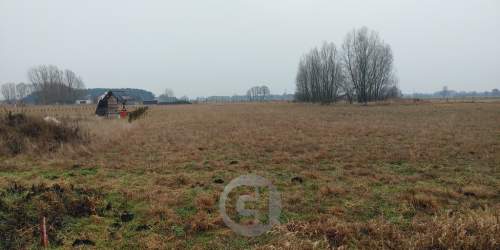 Działki w Łagodzinie z Warunkami Zabudowy 