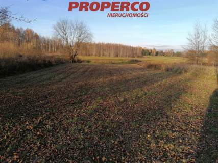 Działka, pow. 4500 m2, Jaworznia Gniewce,Piekoszów