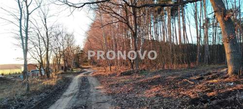 Nieruchomość gruntowa Szczecin Wielgowo pod lasem