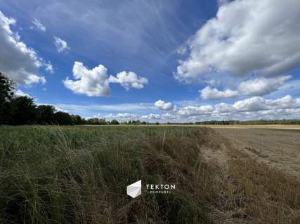 Działka - Harsz - Dargin - Święcajty na Mazurach
