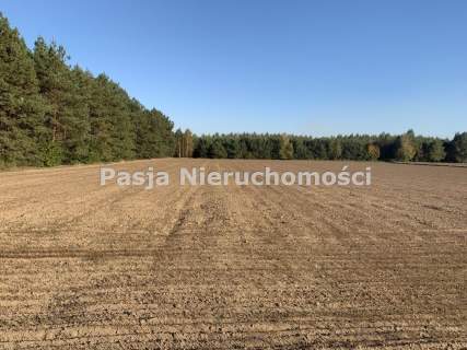 Działka z WZ w Żernikach