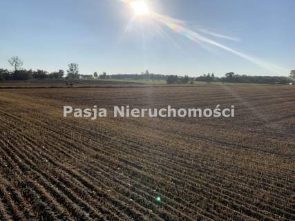 Działka z WZ w Żernikach