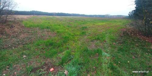 Działka rekreacyjna na sprzedaż, 1300 m2, Teofilówka