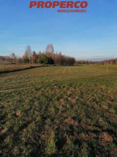 Działka, pow. 4100 m2, Jaworznia Gniewce,Piekoszów