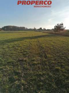 Działka, pow. 4100 m2, Jaworznia Gniewce,Piekoszów