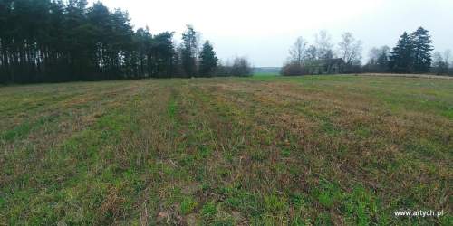 Działka rekreacyjna na sprzedaż, 1300 m2, Teofilówka