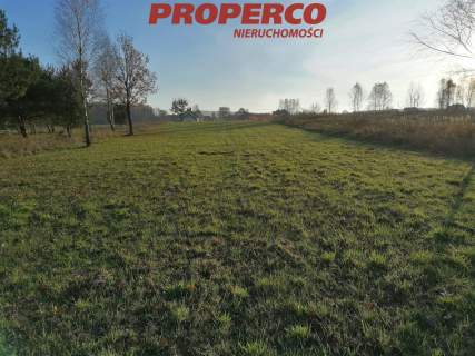 Działka, pow. 4500 m2, Jaworznia Gniewce,Piekoszów