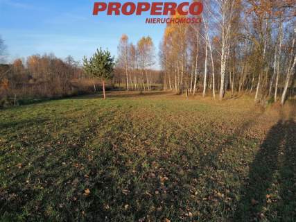 Działka, pow. 4500 m2, Jaworznia Gniewce,Piekoszów