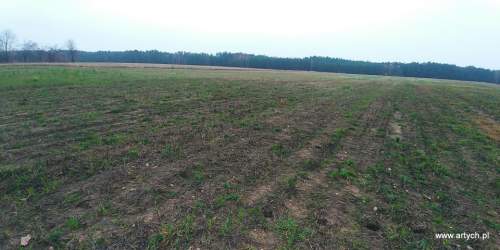 Działka rekreacyjna na sprzedaż, 1300 m2, Teofilówka