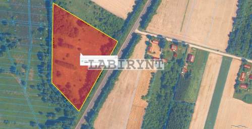 Działka rolna, Lipicze gm. Kłomnice, 2 ha, asfalt