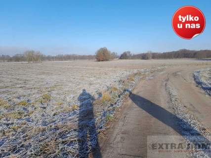 Działka na sprzedaż, 3015 m2, Płoty