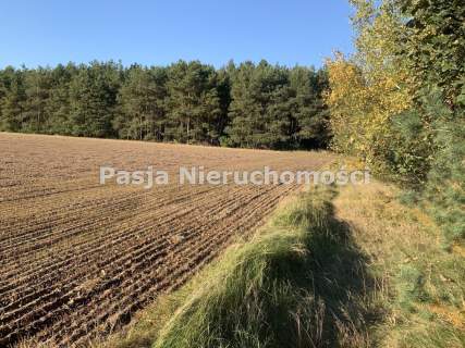 Działka z WZ w Żernikach