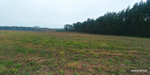 Działka rekreacyjna na sprzedaż, 1300 m2, Teofilówka