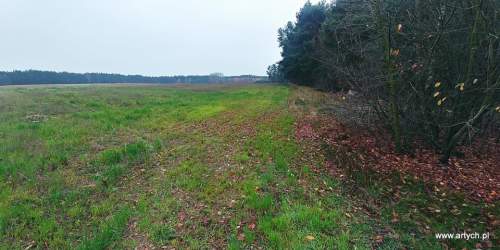Działka rekreacyjna na sprzedaż, 1300 m2, Teofilówka