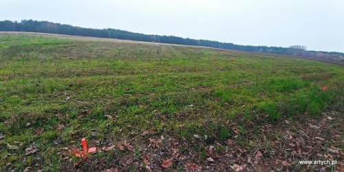 Działka rekreacyjna na sprzedaż, 1300 m2, Teofilówka