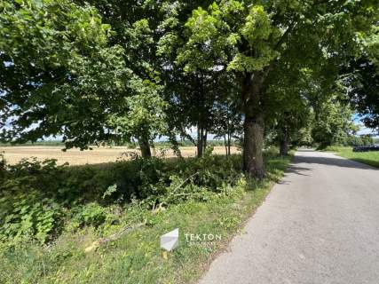 Działka - Harsz - Dargin - Święcajty na Mazurach