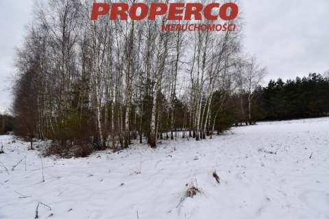 Działka, pow. 5900m2, Podpolichno, gm. Chęciny