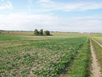 Działka budowlana na sprzedaż, 50000 m2, Ustowo
