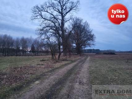 Działka rolna na sprzedaż, 17100 m2, Czermnica