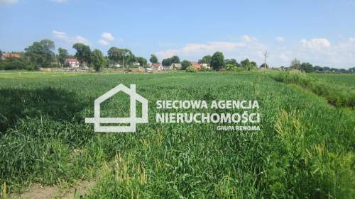 Działki 4560m2 w nadmorskim Sztutowie