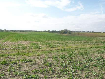 Działka budowlana na sprzedaż, 50000 m2, Ustowo