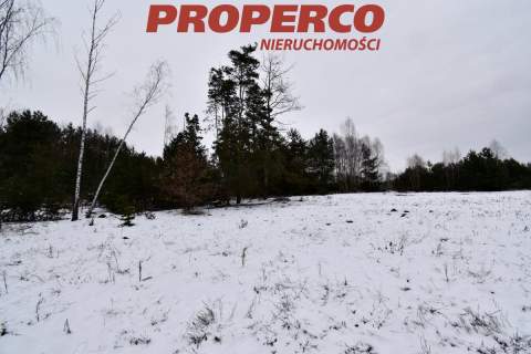 Działka, pow. 5900m2, Podpolichno, gm. Chęciny