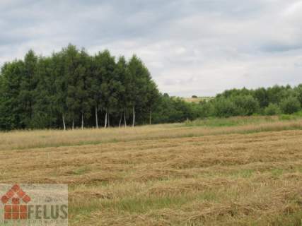 Działka budowlana Zalas 5 km Krzeszowice k. Kraków
