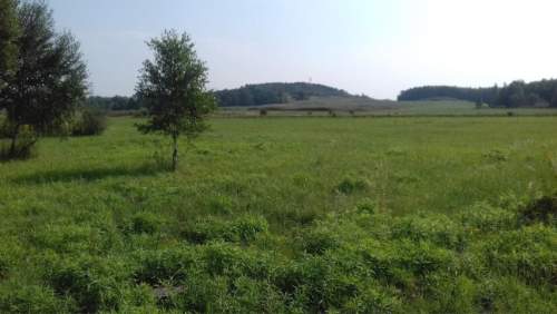 Działka inwestycyjna na sprzedaż, 5520 m2, Niegowoniczki