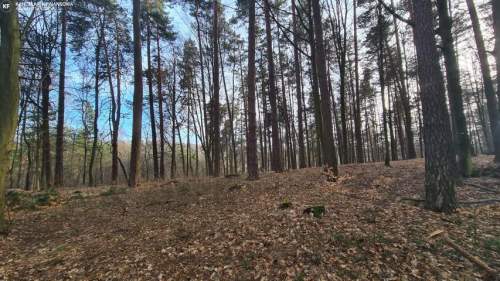 Nowa Niższa Cena Działka Leśna, Las Bondyrz 1,2 ha