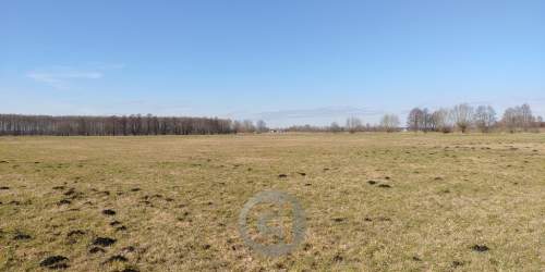 Atrakcyjne działki w Boleminie w super cenie 