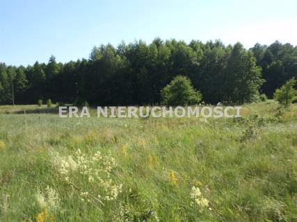 Duża działka z dużym potencjałem - Natura
