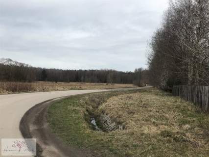 DZIAŁKI W LESIE